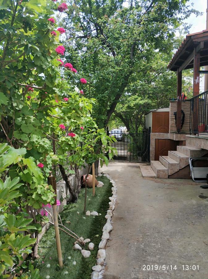 Villa Amia Artemida  Dış mekan fotoğraf